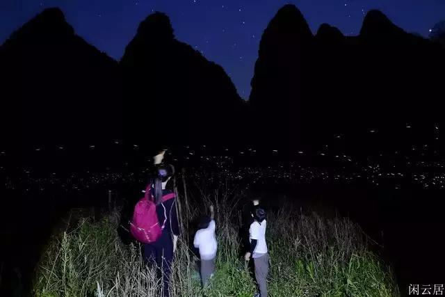 保卫我们的家园